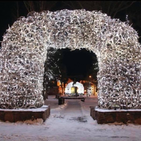 Meet your Posher, Rosemary - Picture 1 of 1